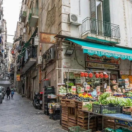 Olina 1 Naples
